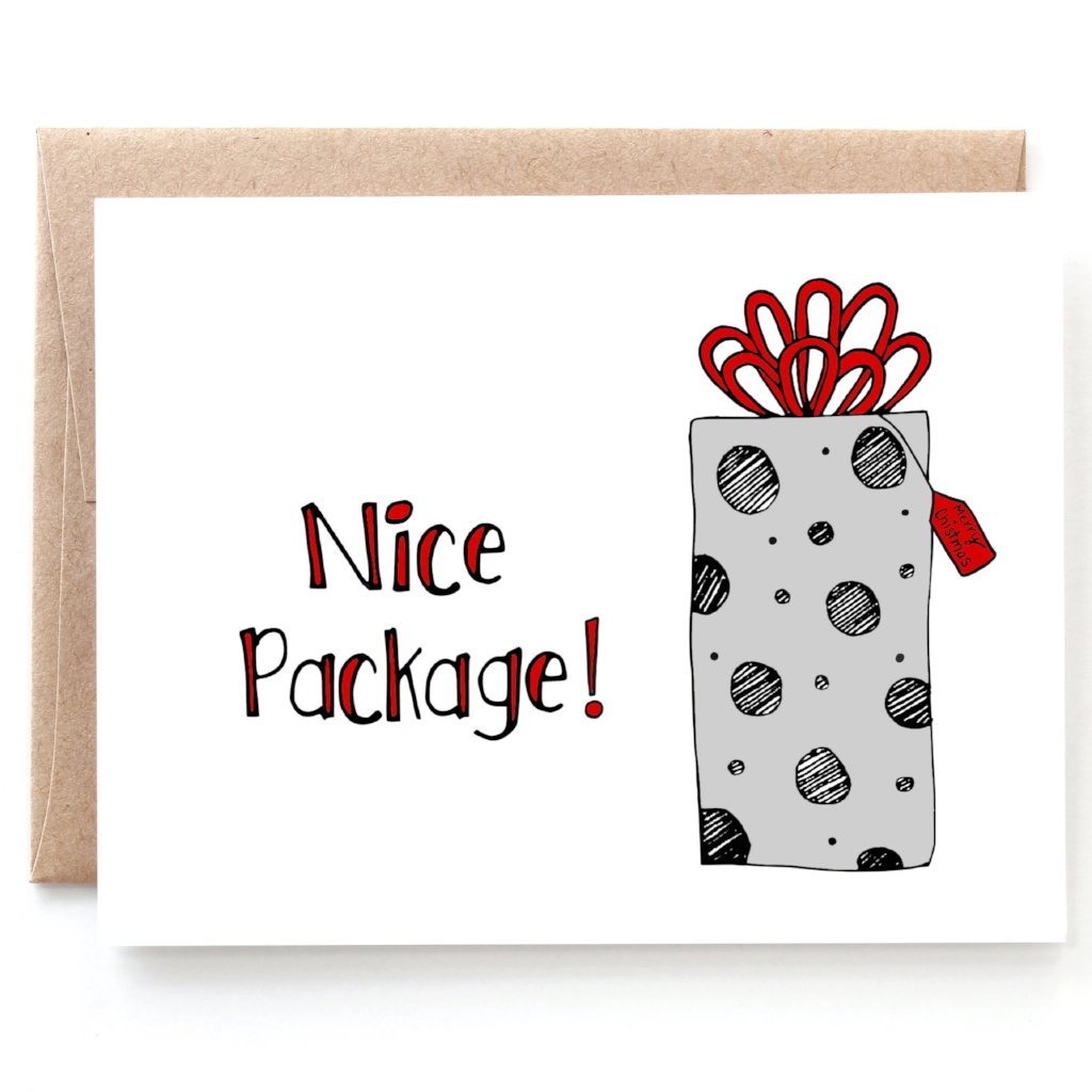 Nice Package - Funny Christmas Flask